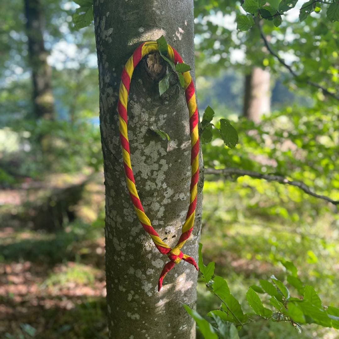 Pfadikrawatte von der Abteilung Pfadi Frienisberg