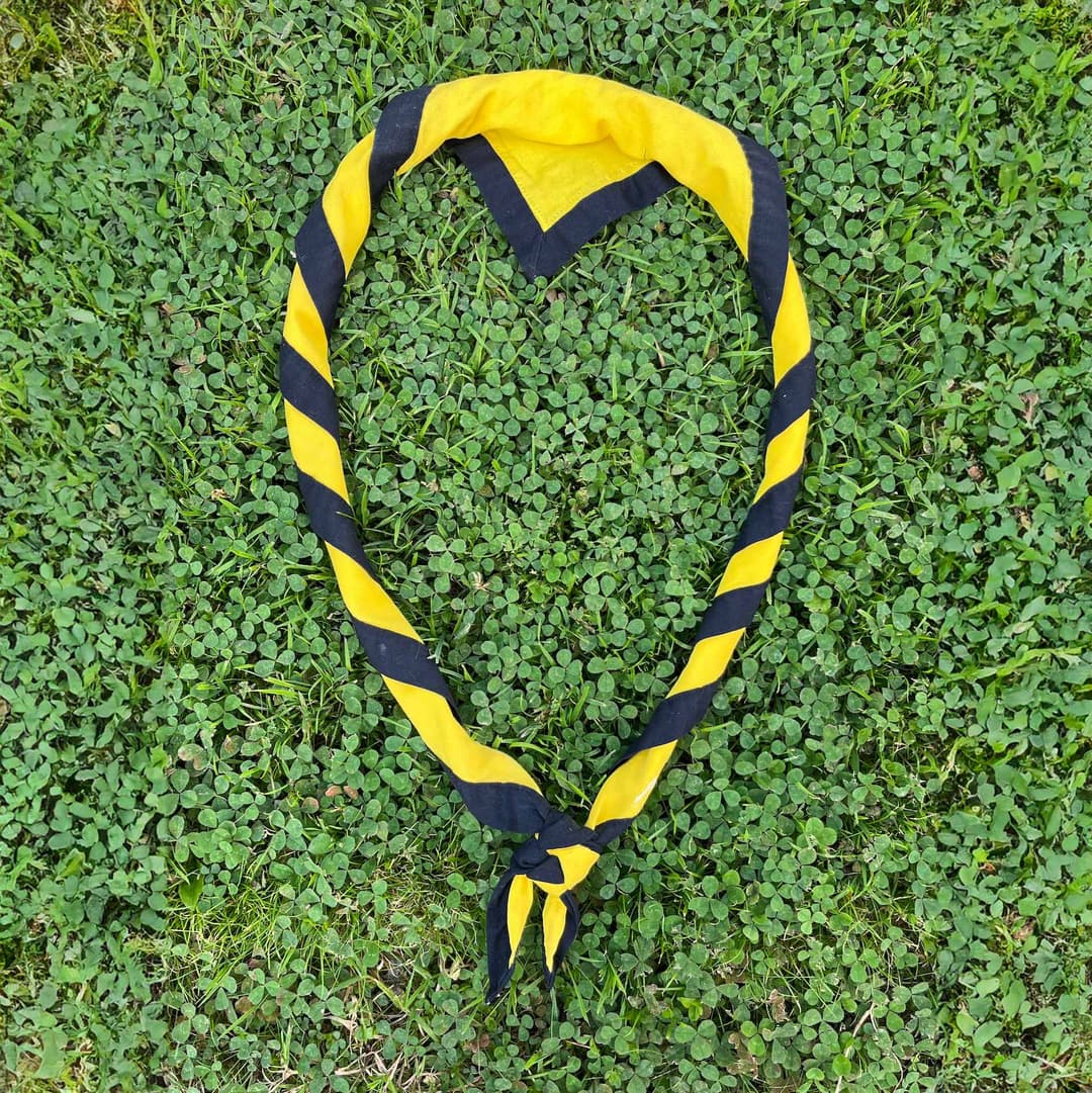 Pfadikrawatte von der Abteilung Pfadi St. Georg Gossau-Niederwil