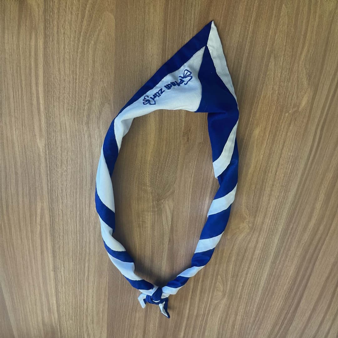 Pfadikrawatte von der Abteilung Pfadi Züri (Kantonalverband)