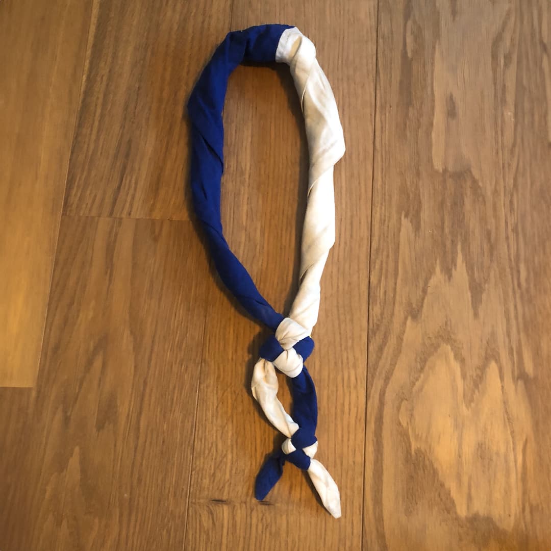 Pfadikrawatte von der Abteilung Brigade de Sauvabelin